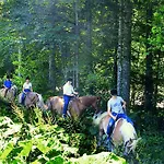 Hotel Altachhof Und - Jokercard Im Sommer Inklusive 3*