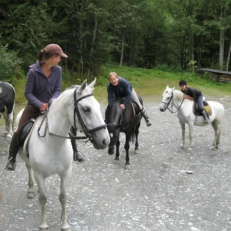 Hotel Altachhof 3*