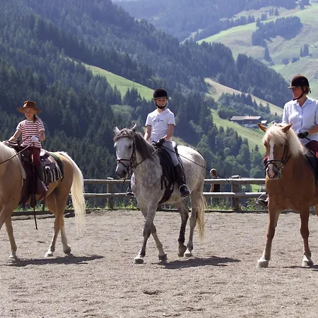 Hotel Altachhof Und - Jokercard Im Sommer Inklusive