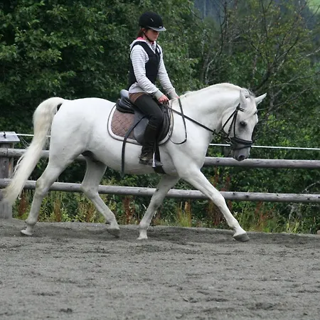 Altachhof Und - Jokercard Im Sommer Inklusive Saalbach-Hinterglemm