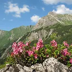 Altachhof Und - Jokercard Im Sommer Inklusive Hotel