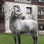 Hotel Altachhof Und - Jokercard Im Sommer Inklusive 3*
