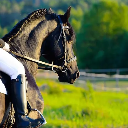 Hotel Altachhof Saalbach-Hinterglemm