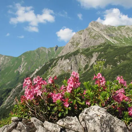 Altachhof Und - Jokercard Im Sommer Inklusive ホテル