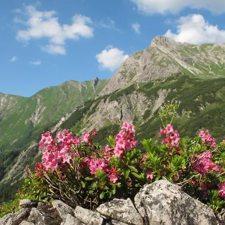Altachhof Und - Jokercard Im Sommer Inklusive Hotel