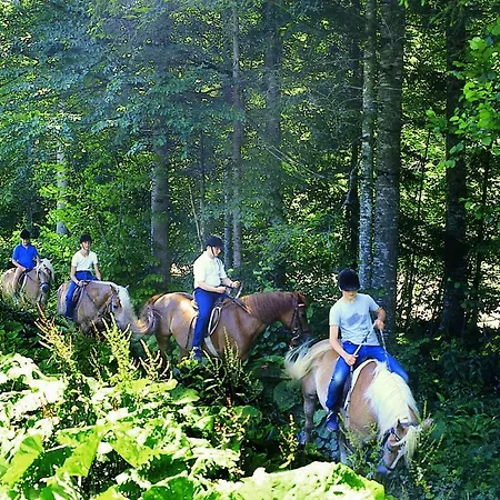 فندق Altachhof Und - Jokercard Im Sommer Inklusive 3*