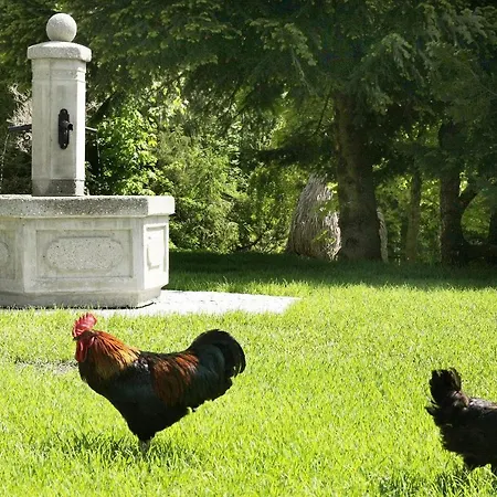 Altachhof 3* Saalbach-Hinterglemm