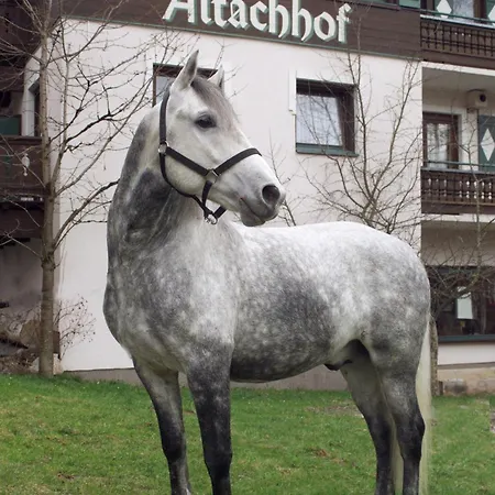 Hotel Altachhof Und - Jokercard Im Sommer Inklusive 3*