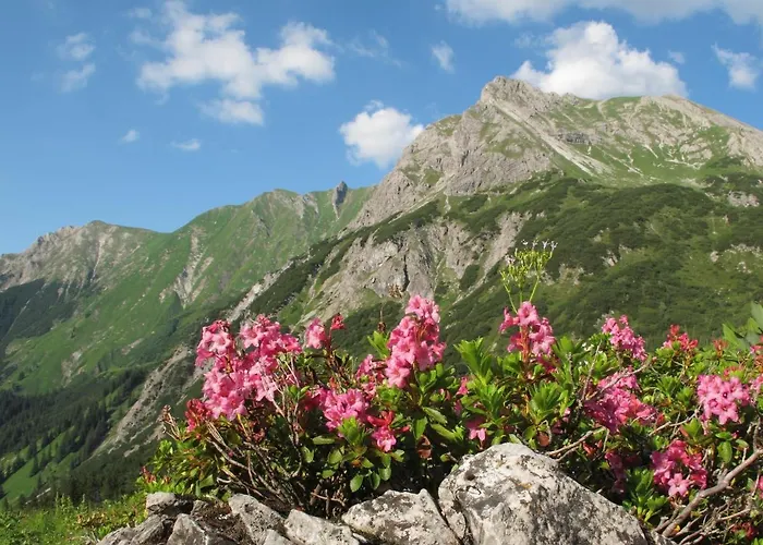 Altachhof Und - Jokercard Im Sommer Inklusive Hotel