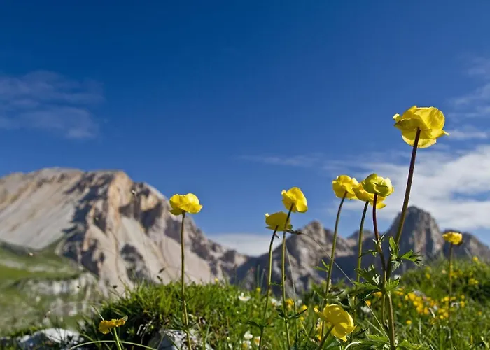 Altachhof Und - Jokercard Im Sommer Inklusive 3* Saalbach-Hinterglemm