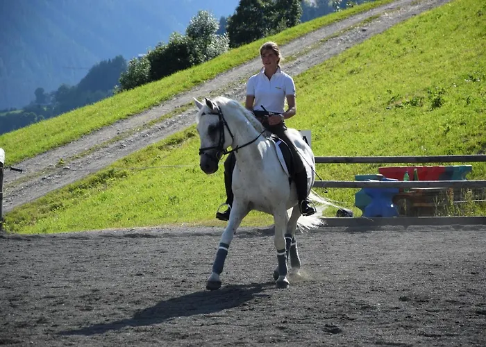 Altachhof Und - Jokercard Im Sommer Inklusive