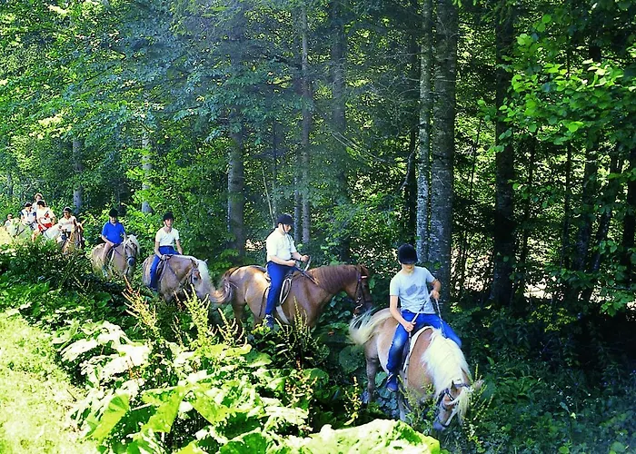 Hotel Altachhof Und - Jokercard Im Sommer Inklusive 3*