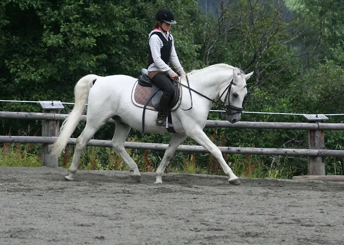 Altachhof Und - Jokercard Im Sommer Inklusive Saalbach-Hinterglemm
